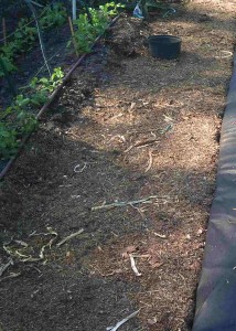 Garden walk ways