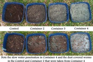 Four containers before and after planting and watering