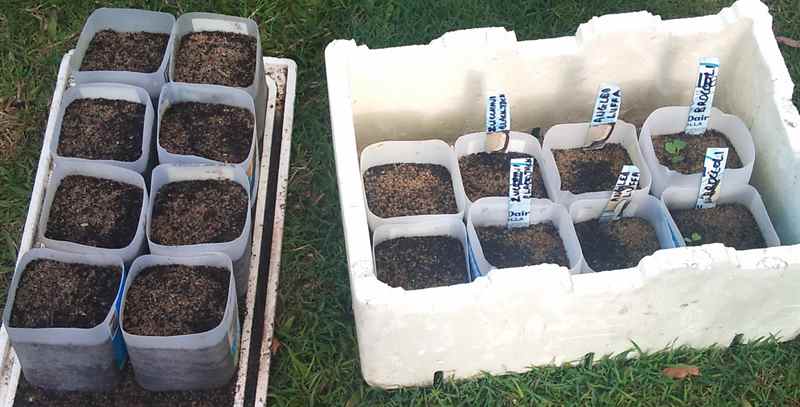 Pots made from 2 litre milk containers