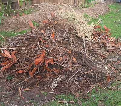 small branches and plants for the mulcher